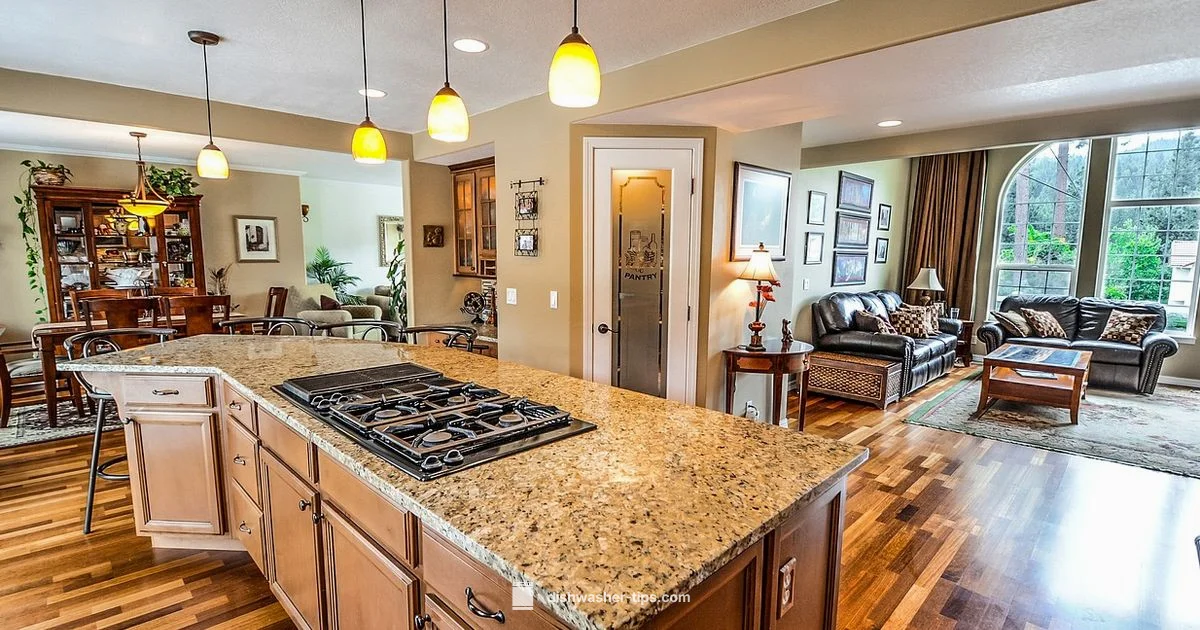 Clean Dishwasher Fix - Dishwasher Tips