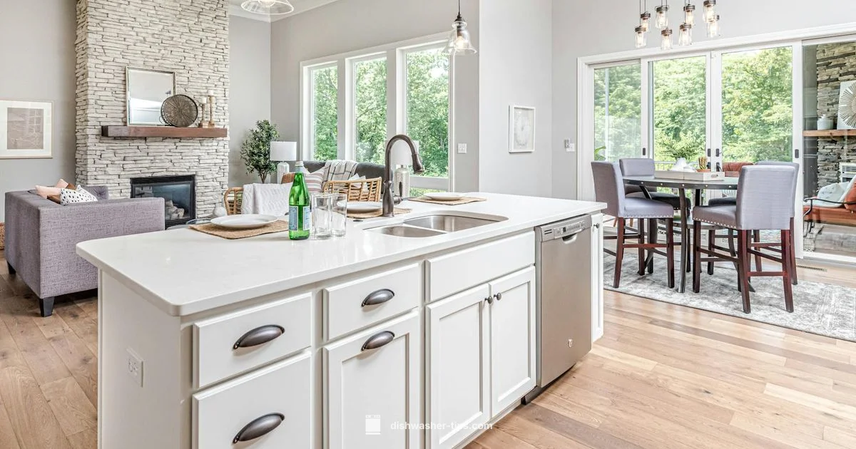 Dishwasher Jet Dry Guide - Dishwasher Tips