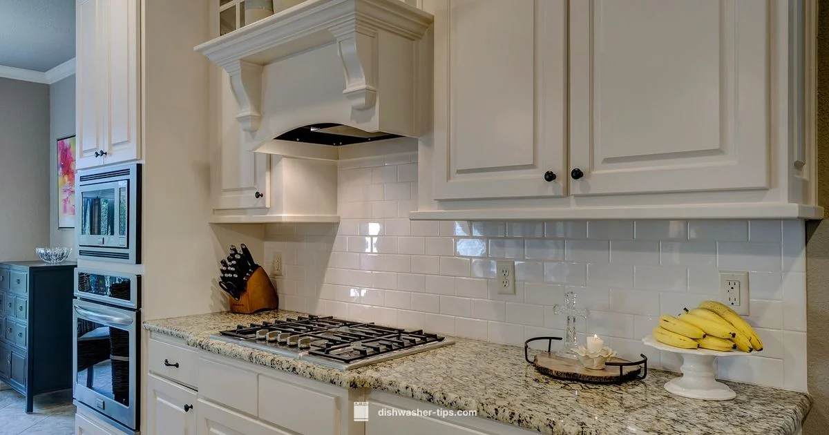 No Hookup Dishwasher - Dishwasher Tips