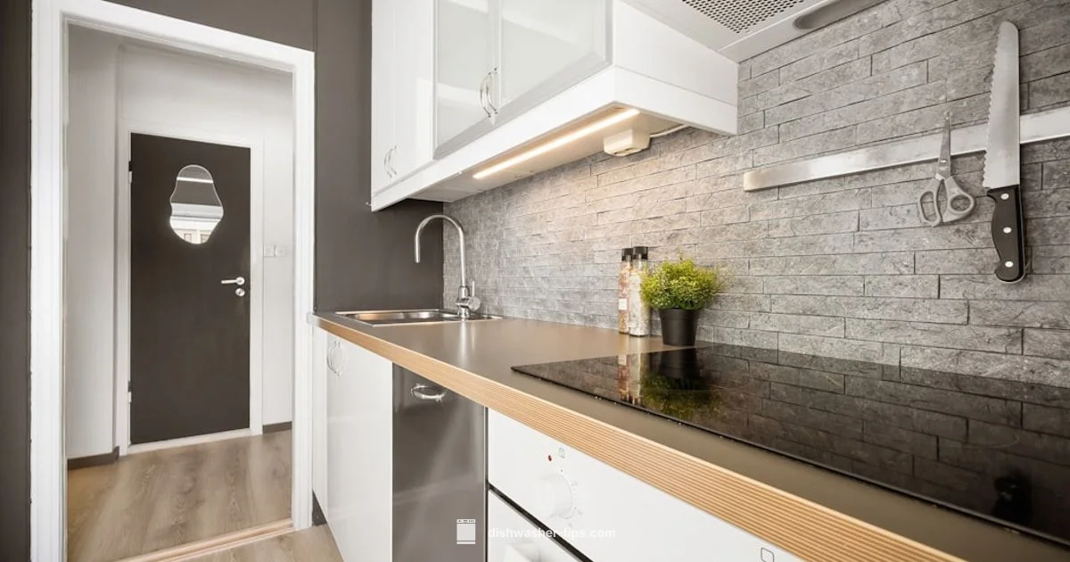 Dishwasher vs Hand Wash - Dishwasher Tips