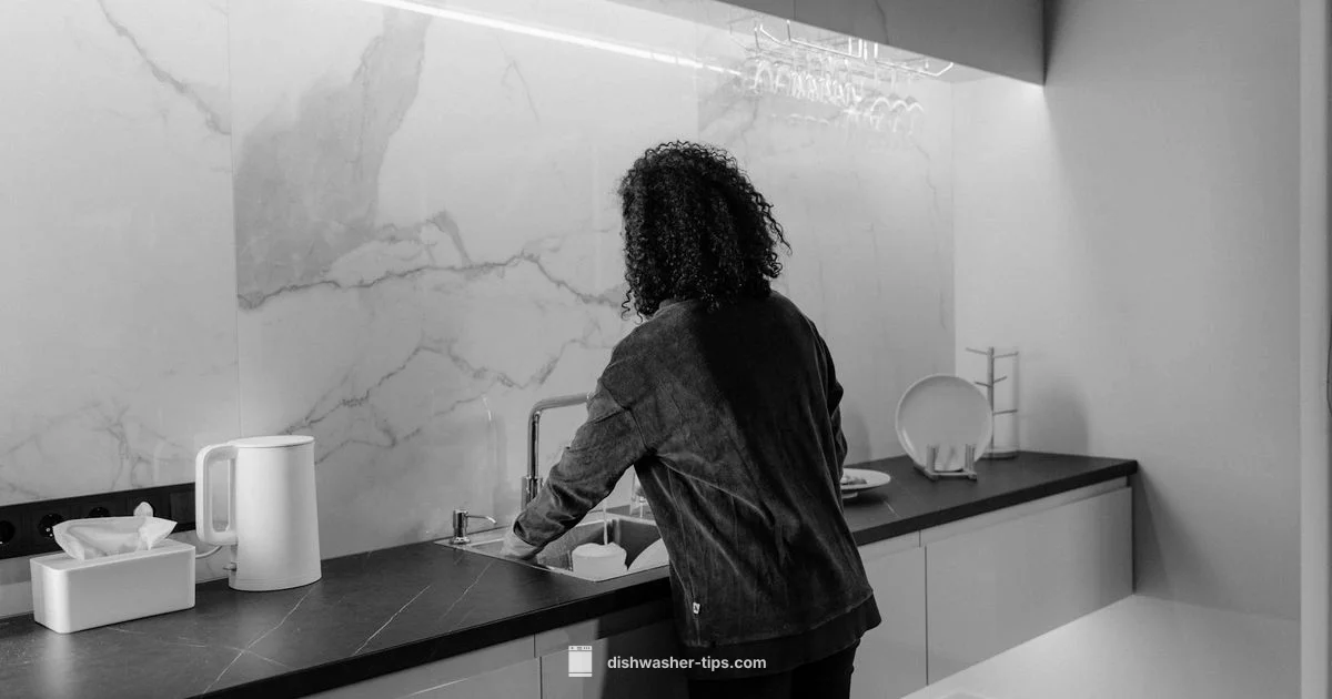 Best Buy Portable - Dishwasher Tips