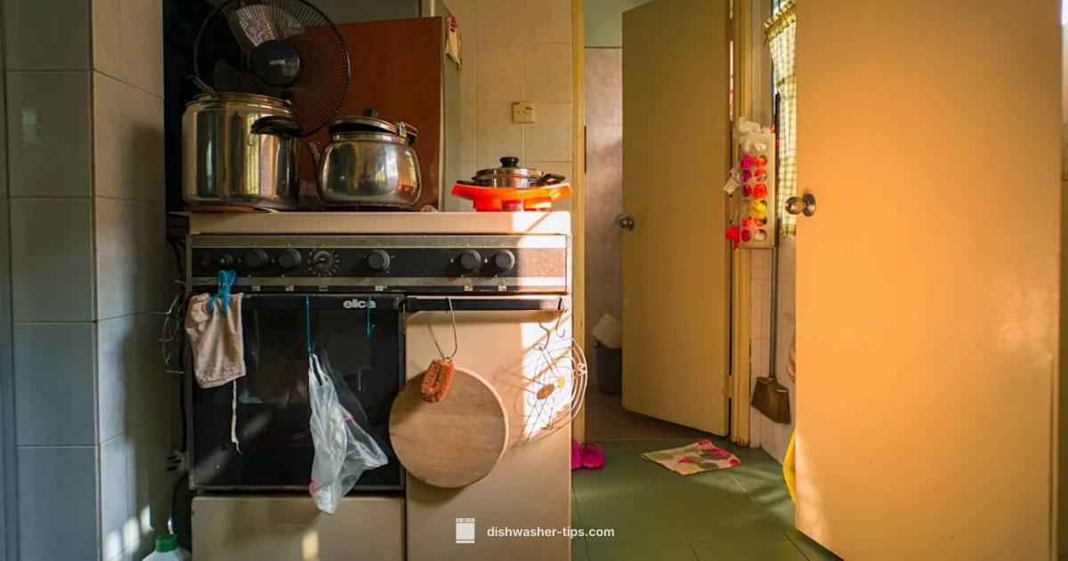 Door Leak Fix - Dishwasher Tips
