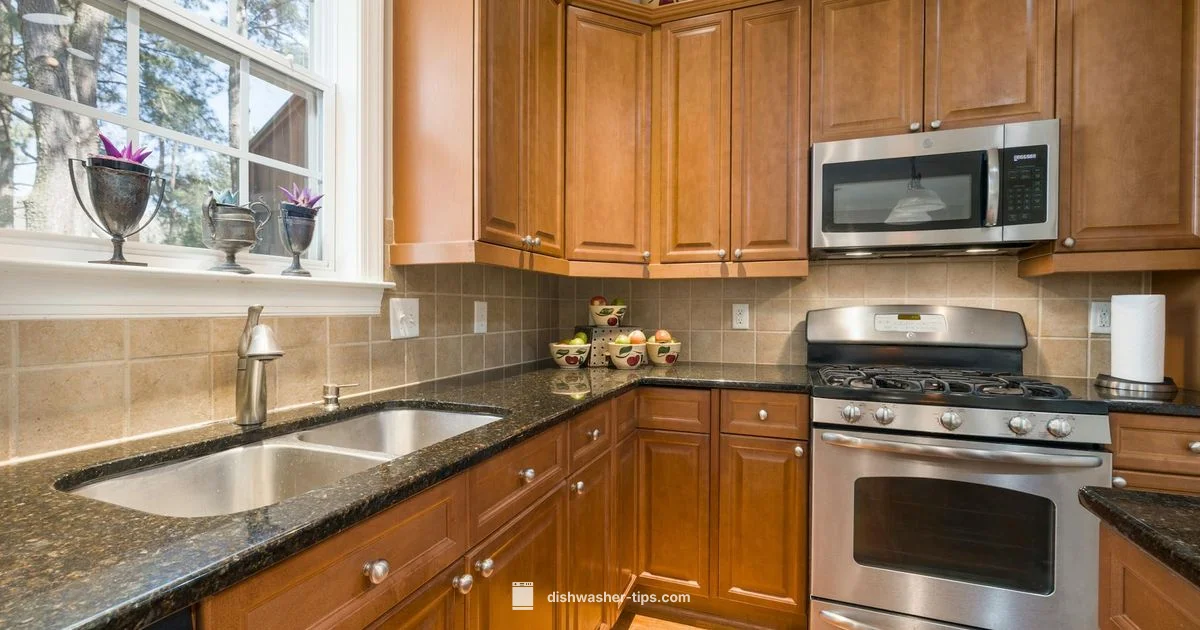 Noisy Bosch Noisy Bosch - Dishwasher Tips