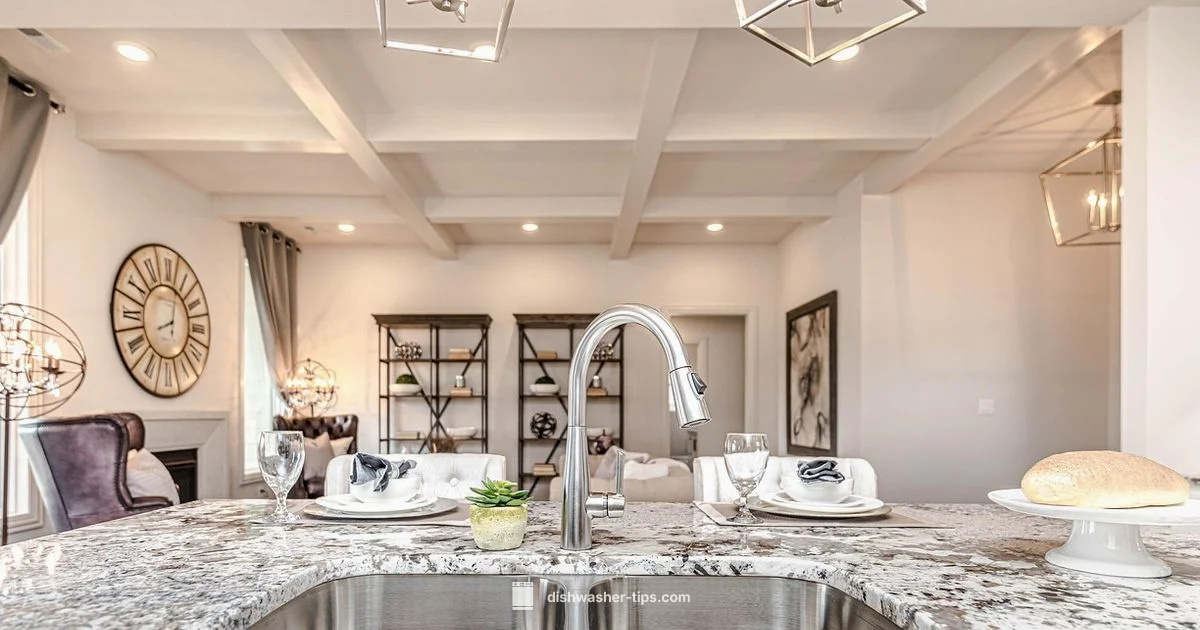 Cleaner Ingredients - Dishwasher Tips