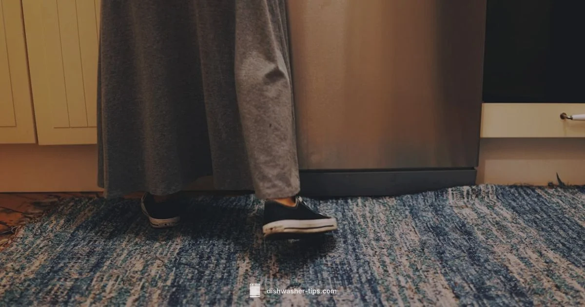 Drain Standing Water - Dishwasher Tips