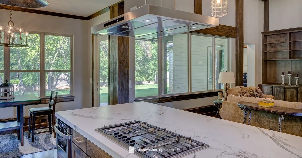 Remove & Clean Dishwasher Filter - Dishwasher Tips