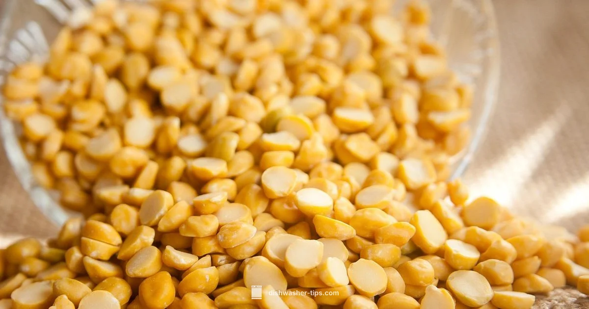 Dishwasher in India - Dishwasher Tips