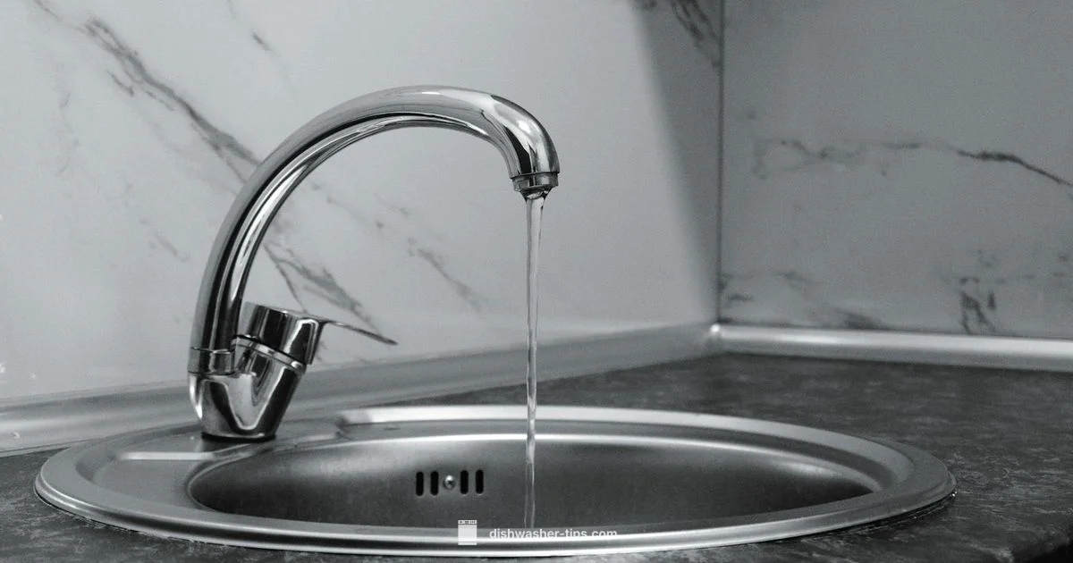 Dishwasher Drain Guide - Dishwasher Tips