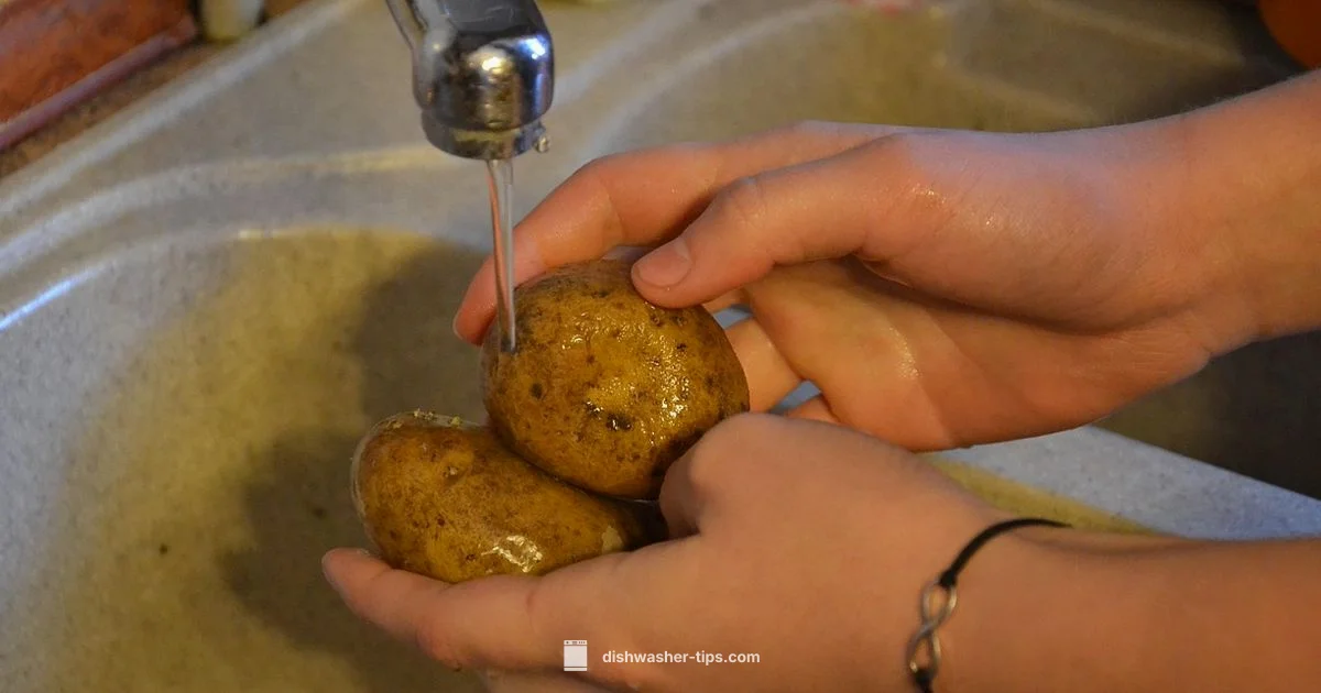 Quad Wash Guide - Dishwasher Tips