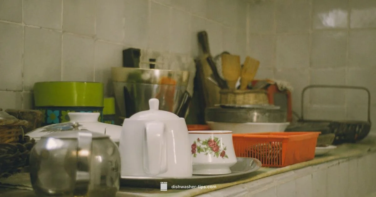 Secure Your Dishwasher - Dishwasher Tips