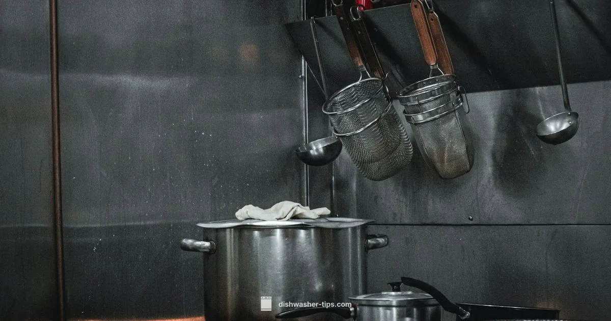 Commercial Dishwashers Guide - Dishwasher Tips