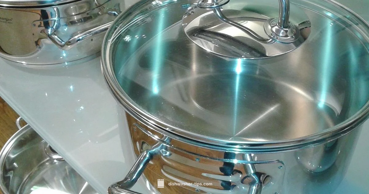 Window View Dishwasher - Dishwasher Tips