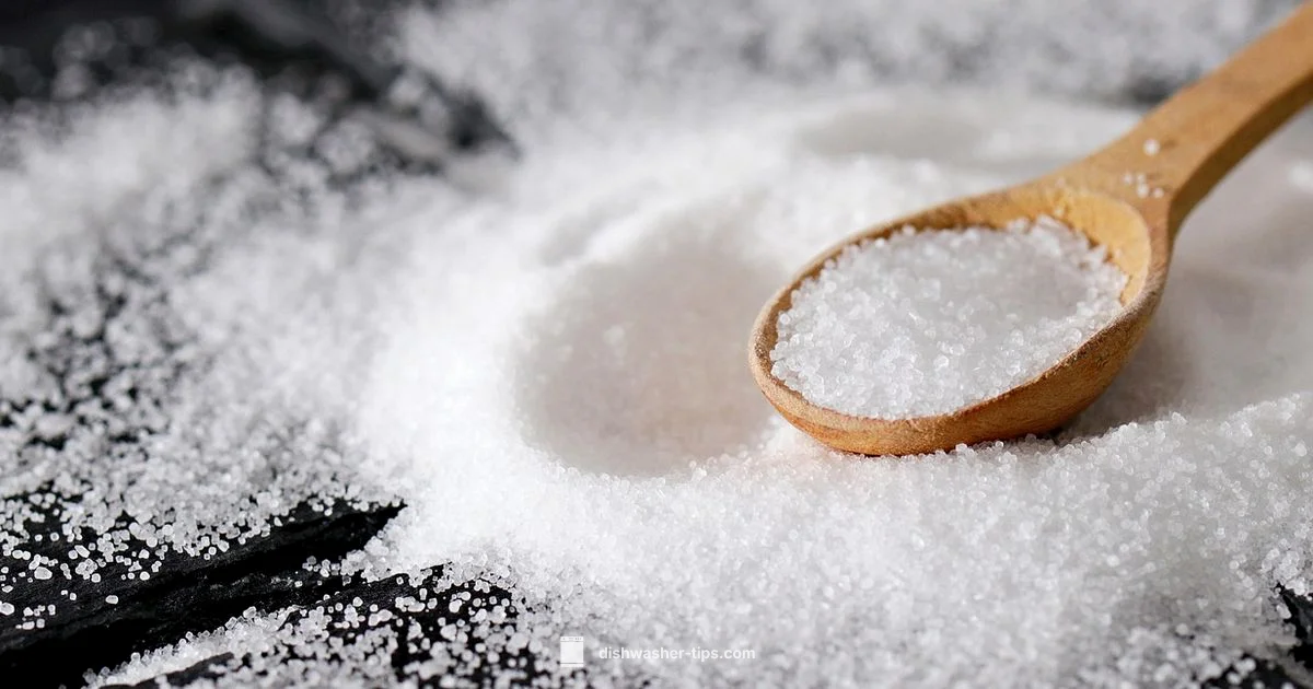 Salt Reservoir Guide - Dishwasher Tips