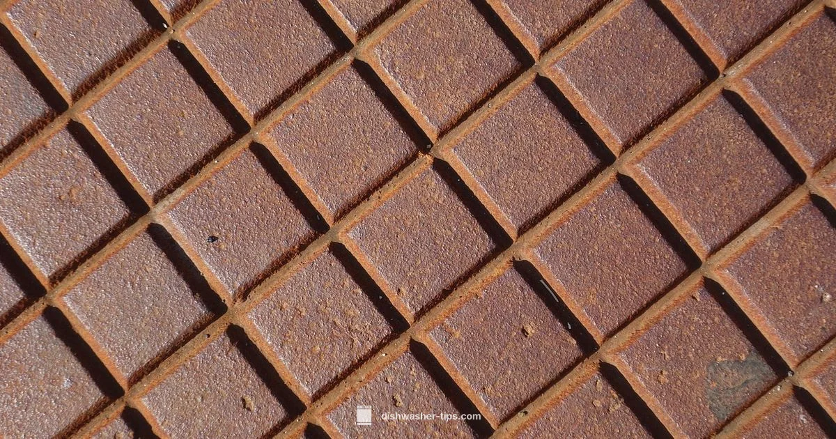 Dishwasher Dilemma - Dishwasher Tips