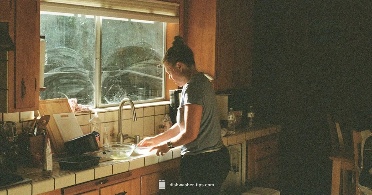 Dishwasher Service Cost - Dishwasher Tips