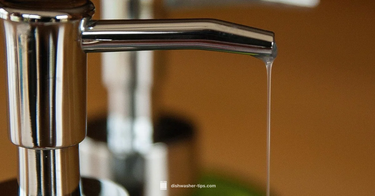 Liquid Detergent Guide - Dishwasher Tips