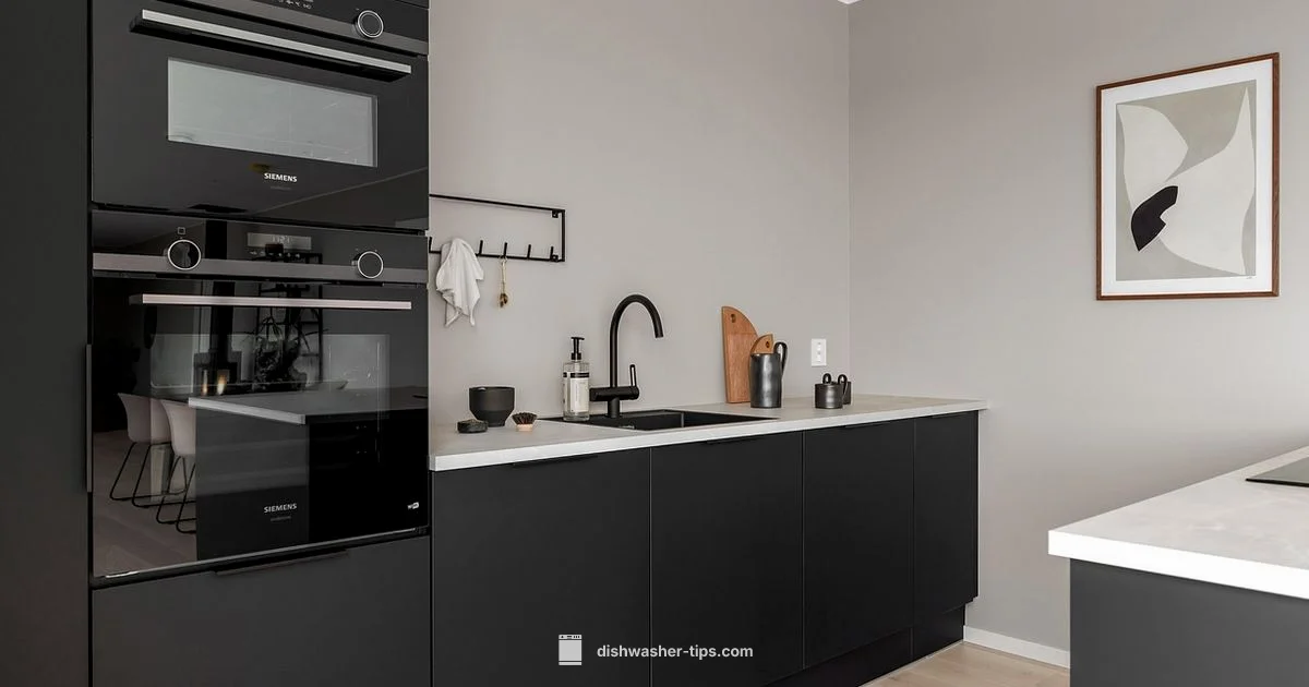 Salt Work - Dishwasher Tips