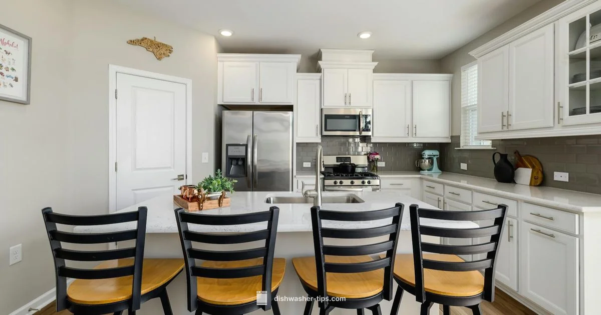 Zeolite Drying Tech - Dishwasher Tips