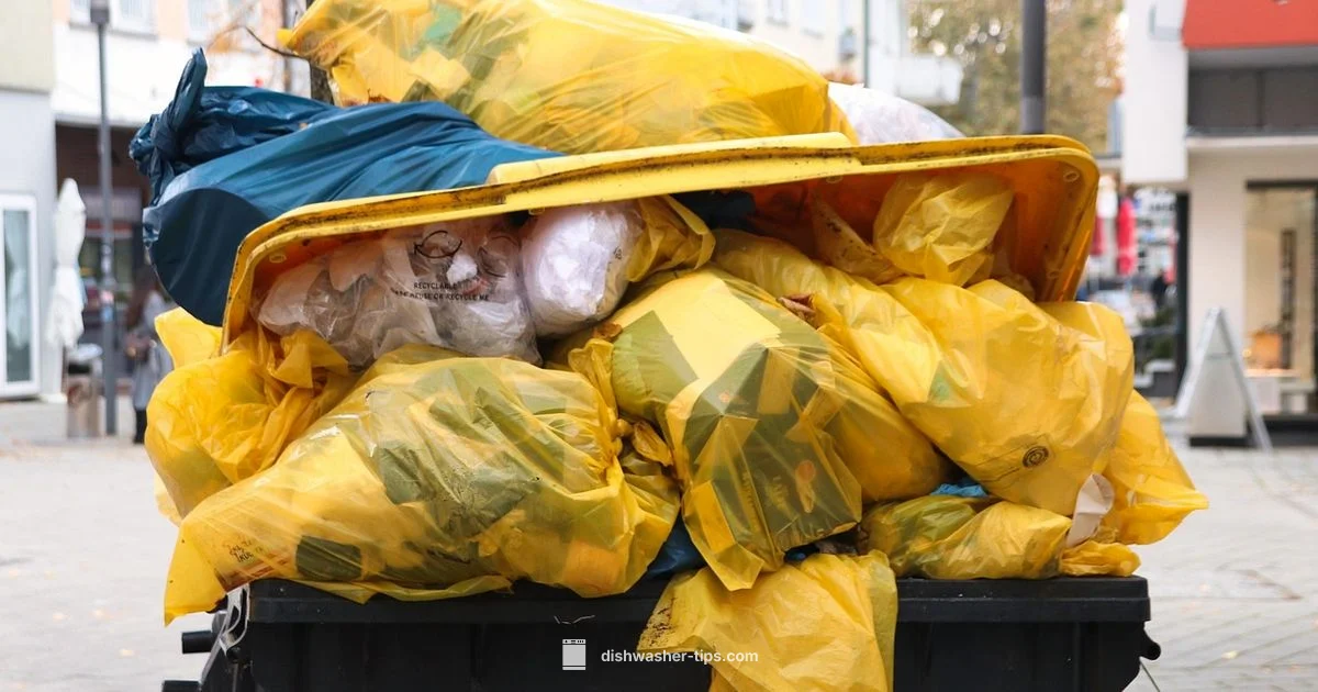 Disposal Clog Guide - Dishwasher Tips