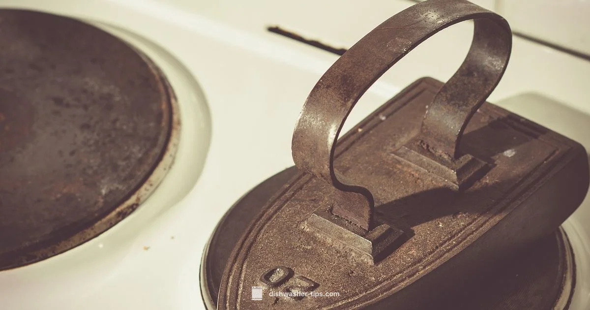 Cast Iron Guide - Dishwasher Tips