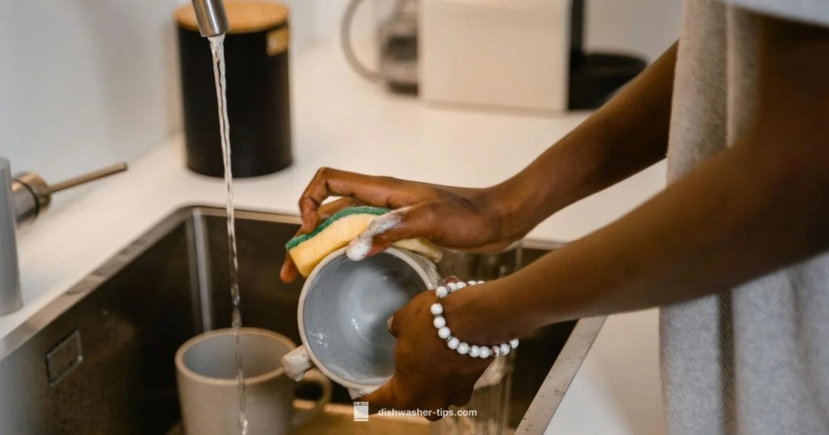 Disposal & Dishwasher Guide - Dishwasher Tips