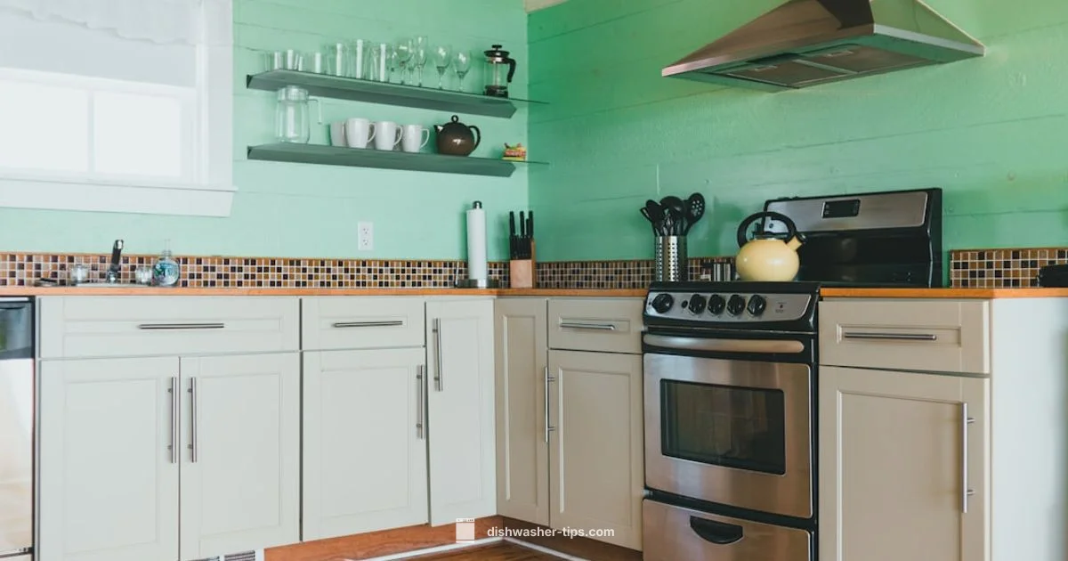 Non-Toxic Detergent Guide - Dishwasher Tips