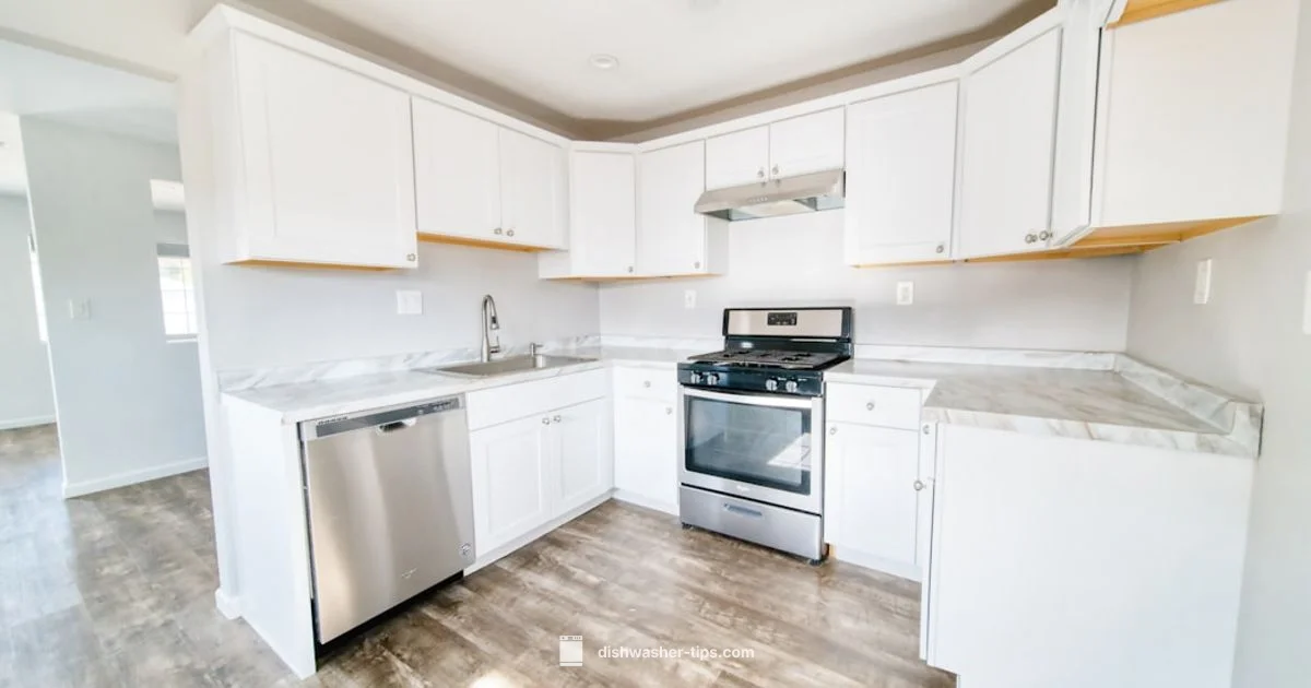 Best Buy Sale - Dishwasher Tips