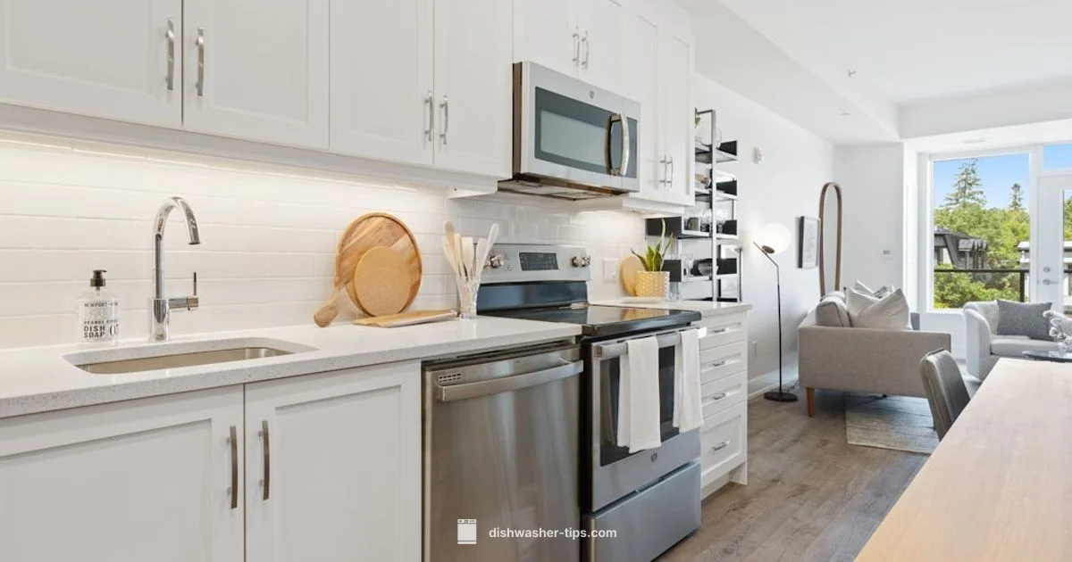 Vinegar & Baking Soda Clean - Dishwasher Tips