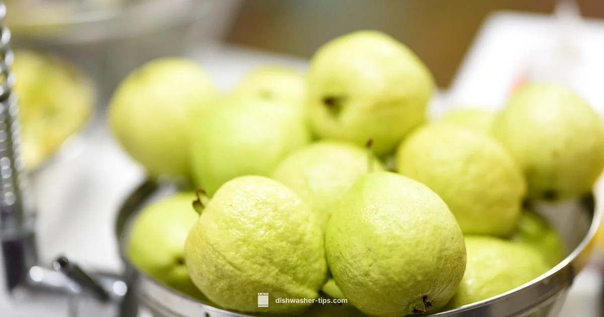 Fruit Fly Troubleshooting - Dishwasher Tips