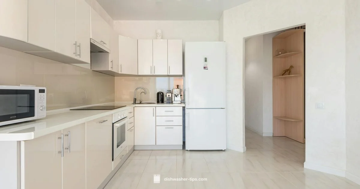 Soap-Free Wash Guide - Dishwasher Tips