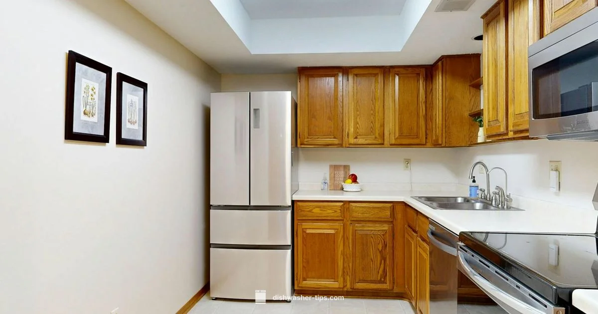 Integrated Dishwasher - Dishwasher Tips