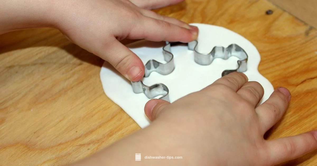 Mold-Free Dishwasher - Dishwasher Tips