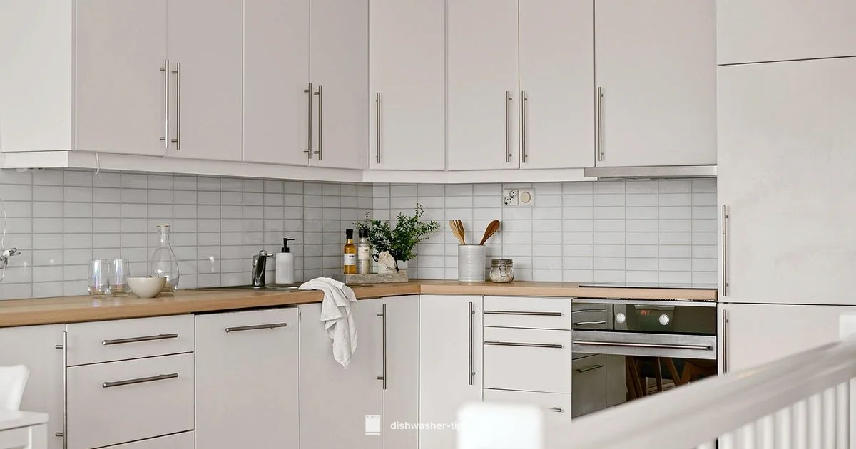 Drain Hose Replacement - Dishwasher Tips