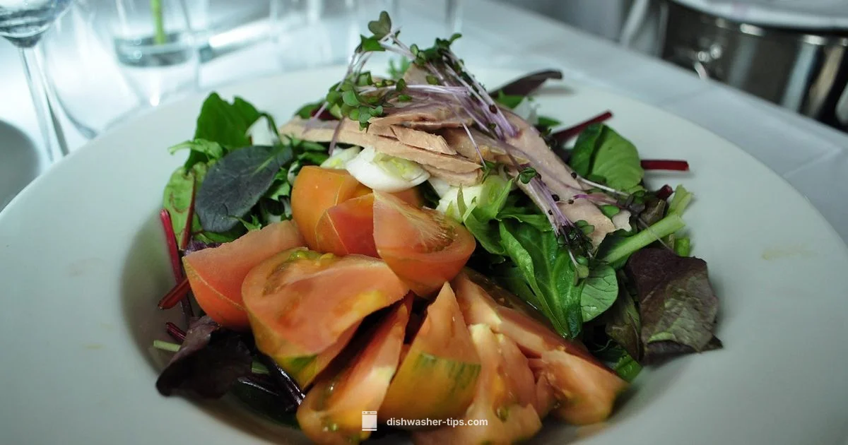 Dishwasher Safe Spinner - Dishwasher Tips