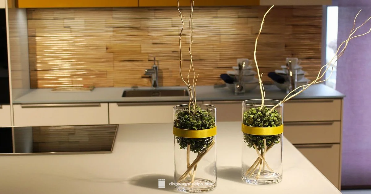 Midea Dishwasher Review - Dishwasher Tips