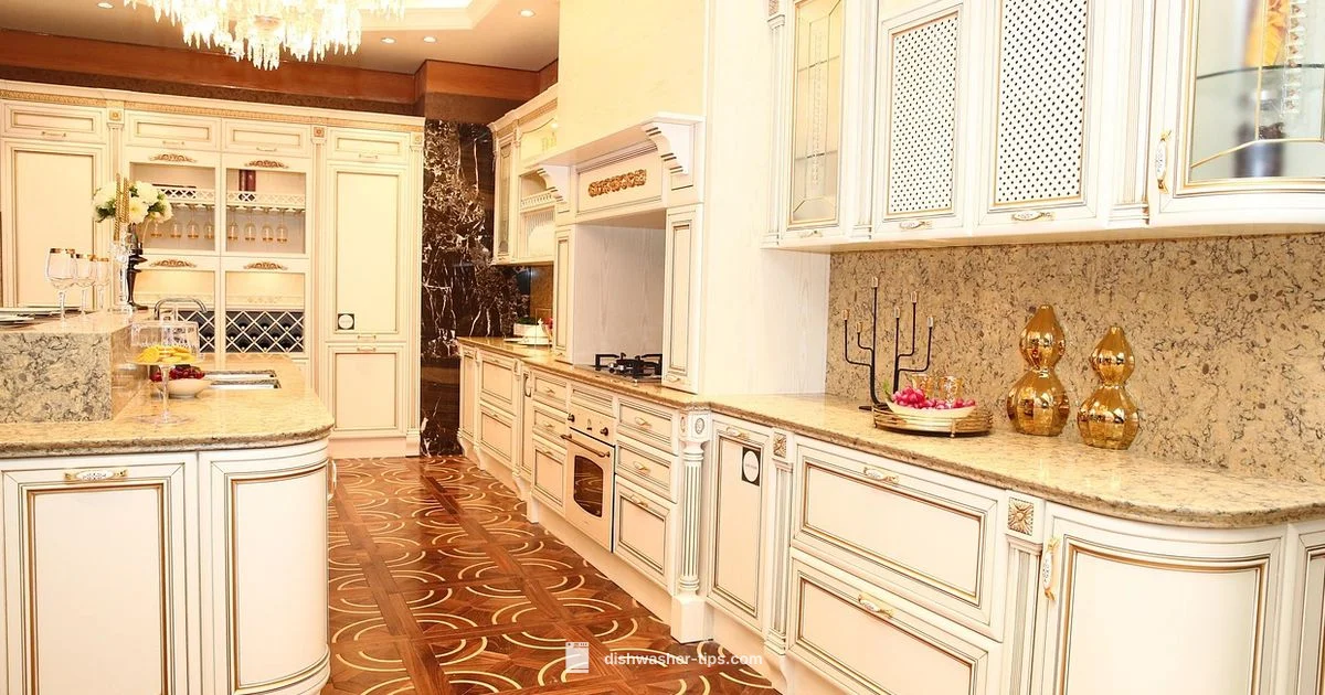 Dishwasher Maintenance - Dishwasher Tips