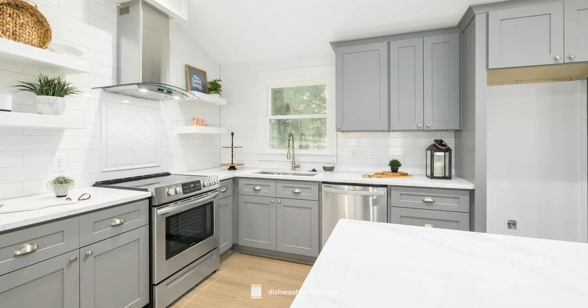 Glass Look Without Risk - Dishwasher Tips