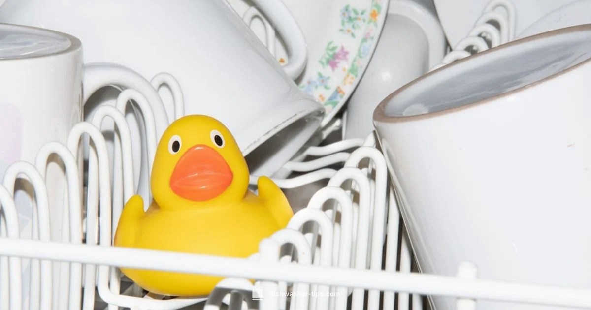 Dishwasher Leak Fix - Dishwasher Tips