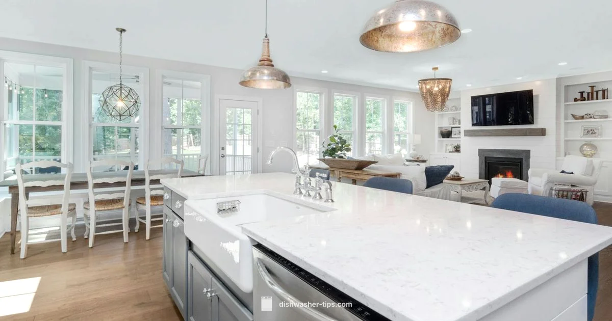 Dishwasher vs Sanitizer - Dishwasher Tips