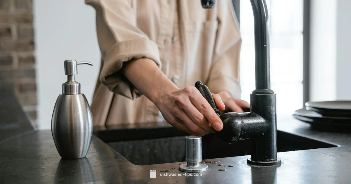 Soap Bottle Guide - Dishwasher Tips