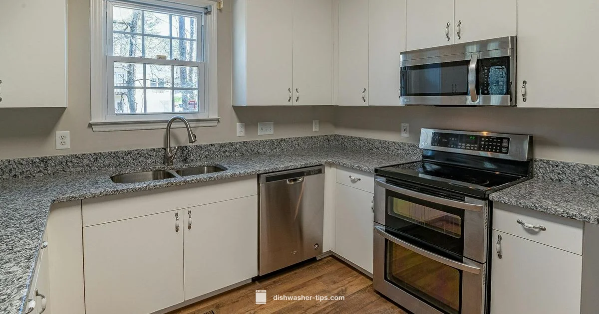 Top Integrated Dishwashers - Dishwasher Tips