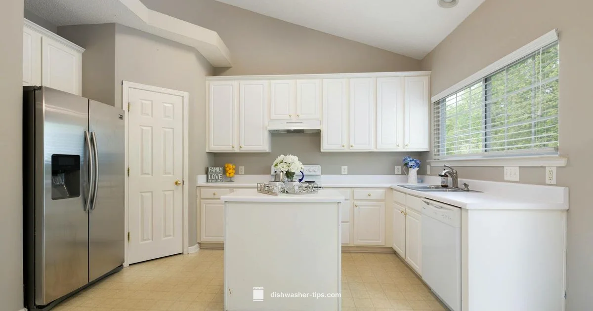 Best Indian Kitchen Dishwasher - Dishwasher Tips