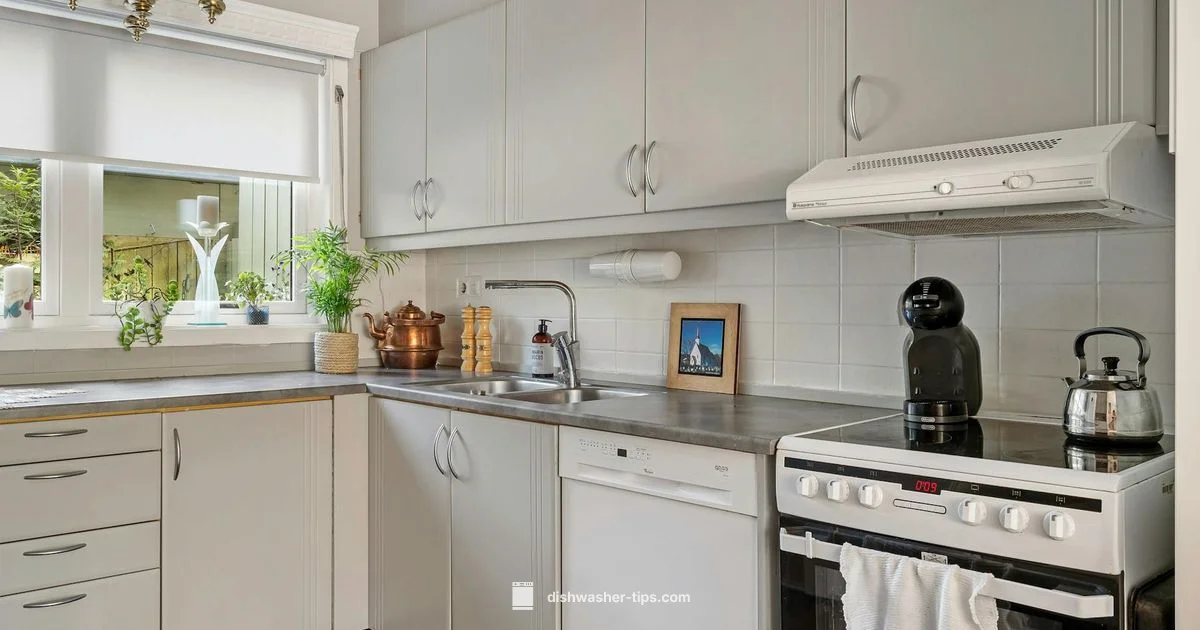 Dishwasher Placement - Dishwasher Tips