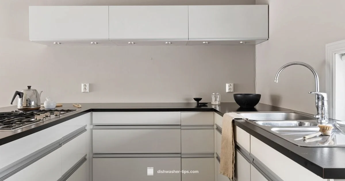 Dishwasher vs Bottle - Dishwasher Tips