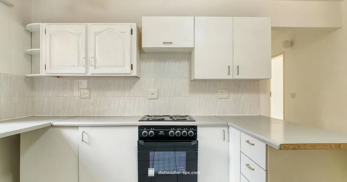 Install Cost Insights - Dishwasher Tips