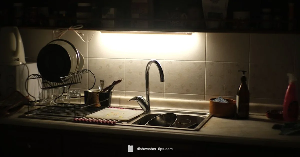 Flood-Safe Fixes - Dishwasher Tips