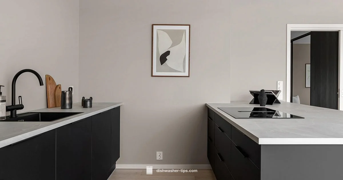 Not-To-Buy Guide - Dishwasher Tips