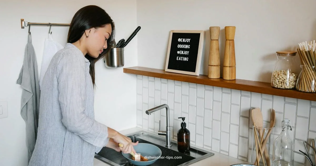 Interior Dishwasher Cleaning - Dishwasher Tips