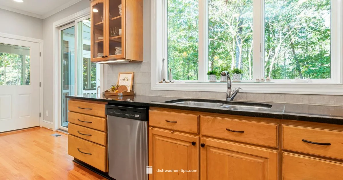 Smart Dishwasher Guide - Dishwasher Tips