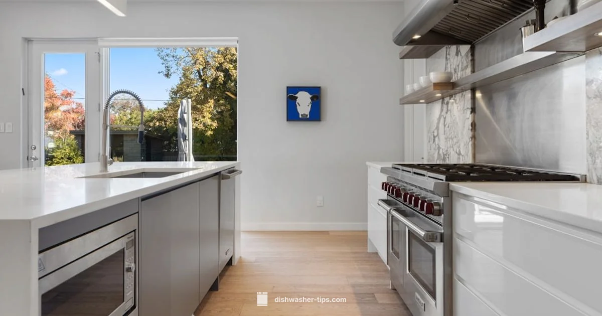 Door Seal Replacement - Dishwasher Tips